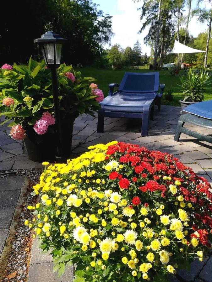 Villa Eden Basecles Eksteriør billede